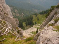 2013-08-25_Risserkogel (217).JPG